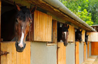 free Bedworth stable construction quotes